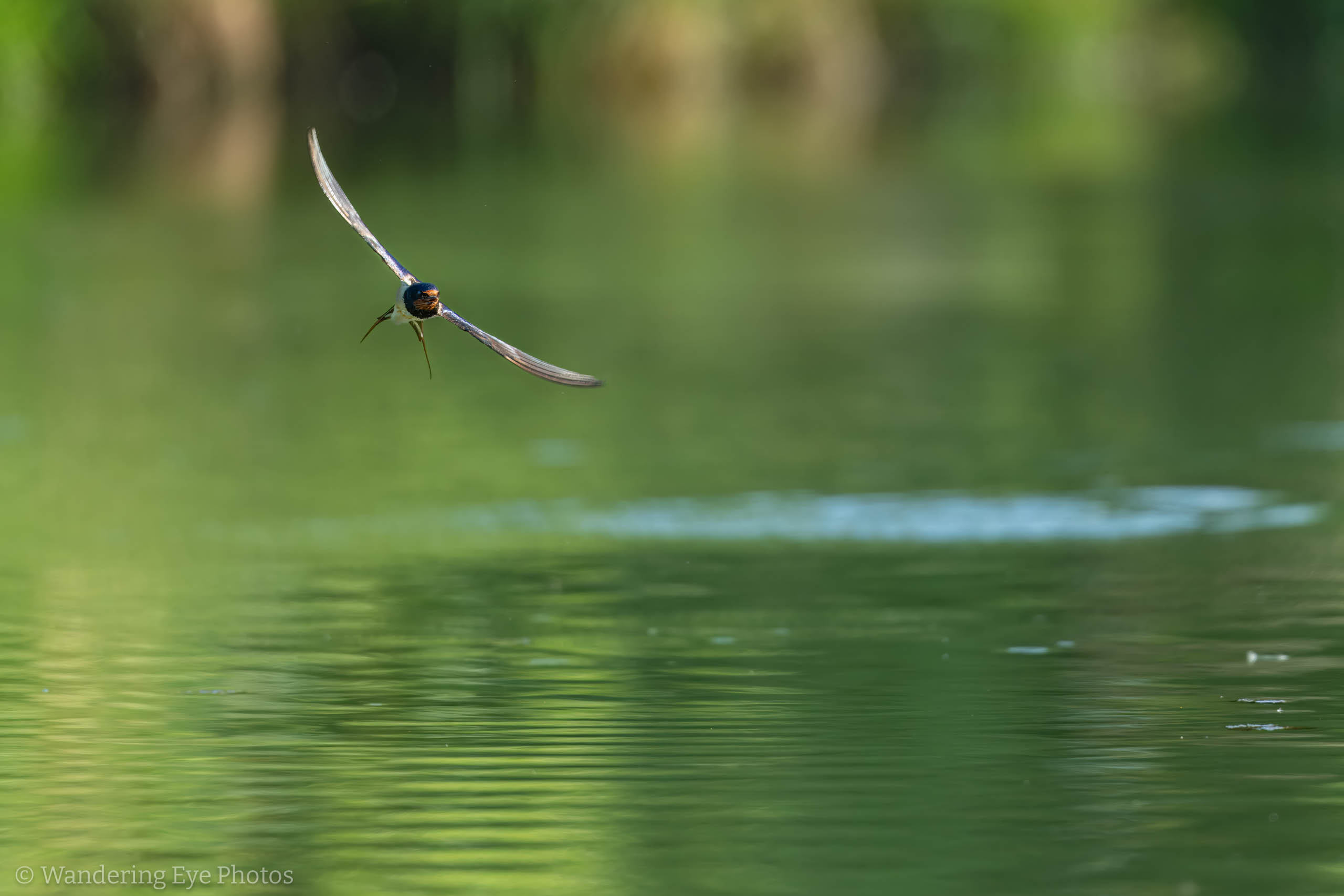 05.16 17.17.54 DSC00547